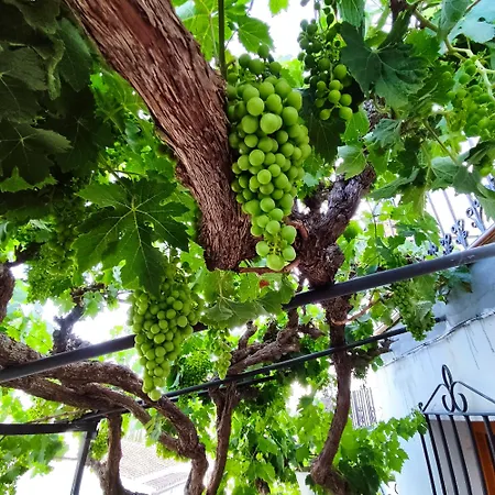 La Casita De La Parra روندا