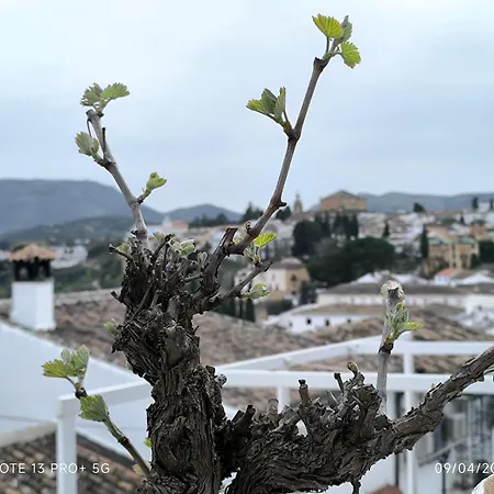 La Casita De La Parra Tatil Evi Ronda
